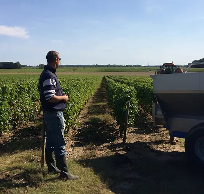 Vigneron inspectant ses vignes à Quincy, une machine agricole en arrière-plan